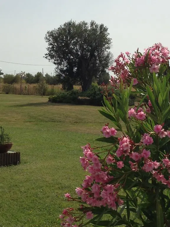 Aparthotel Residence Cernaia Castiglione della Pescaia Italy
